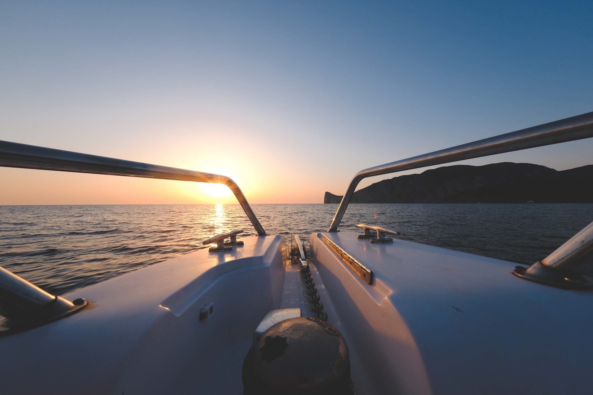 Seeing dolphins in Alcudia bay: when and how
